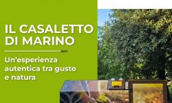 Ristorante Il Casaletto di Marino (RM) - Gusto, natura e sostenibilità